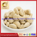 Factory Directly Sale Roasted Coated Cashew Nuts